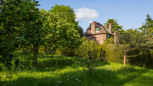 A view through the orchard towards the house at Shaw's Corner.